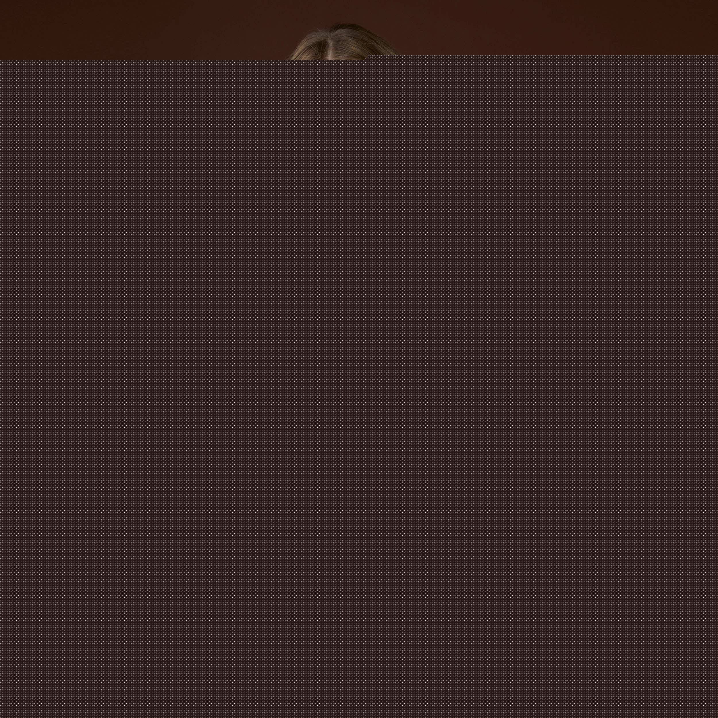 Woman wearing a Latte Heather Kayne mohair sweater with long sleeves and a high neckline against a brown background