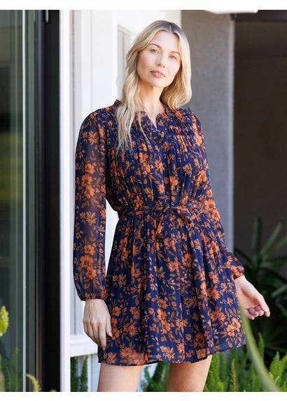 Ayleen Smocked Long Sleeve Dress