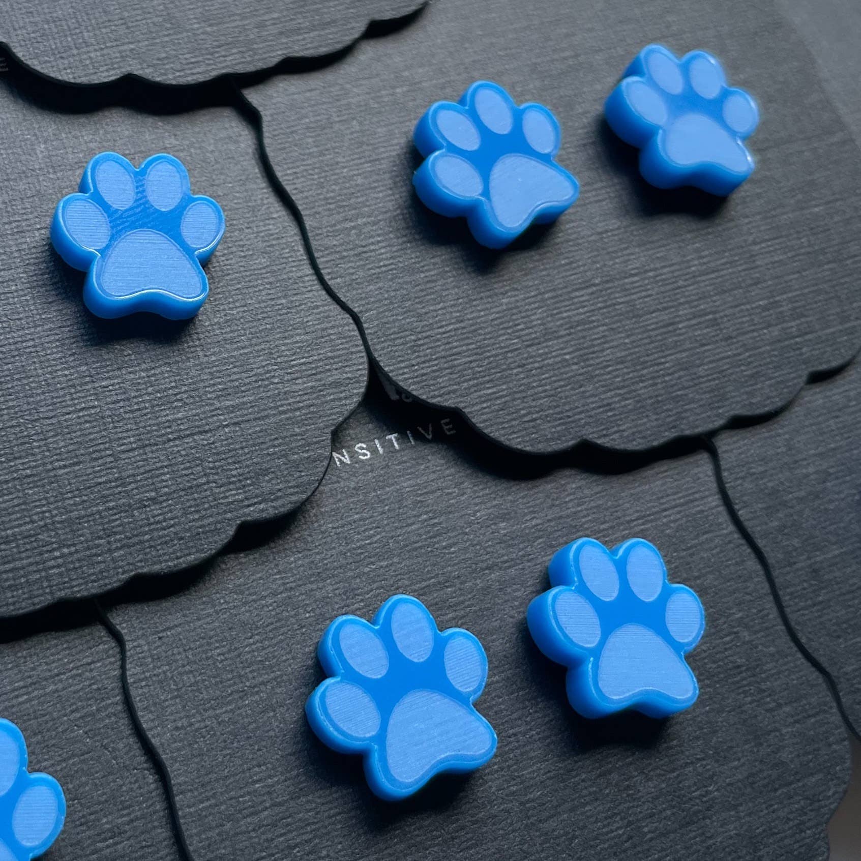 Paw Print Earrings – Hypoallergenic Stainless Steel for Sensitive Ears
