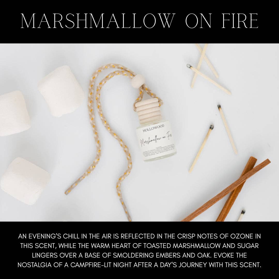 Car Diffuser – Fall Scents, Autumn Car Freshener & Thanksgiving Gift