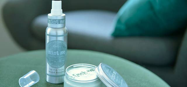 Pinch Me Therapy Dough - Chill Mist Me