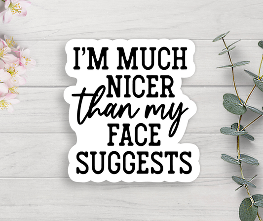 Nicer Than My Face Suggests Vinyl Sticker Core Expression Design Co