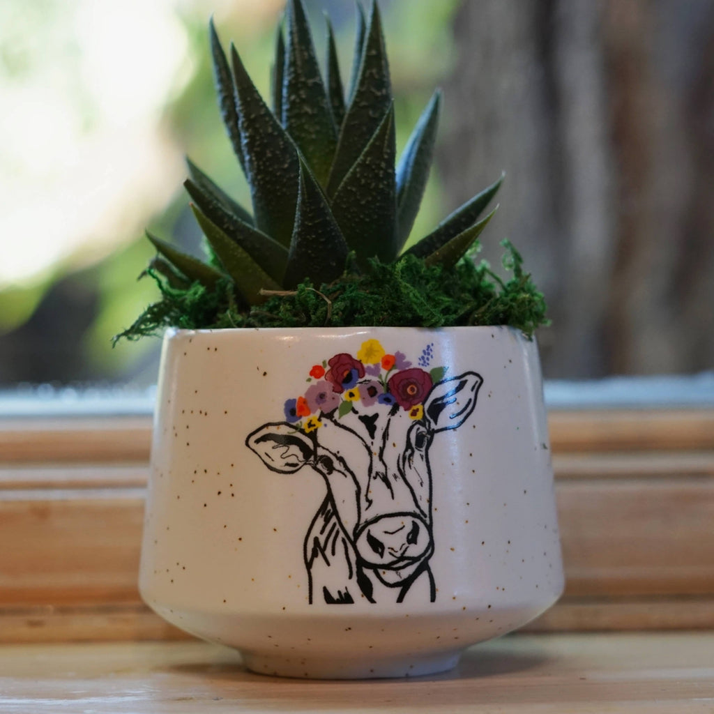 Cow Crown Delight Pot