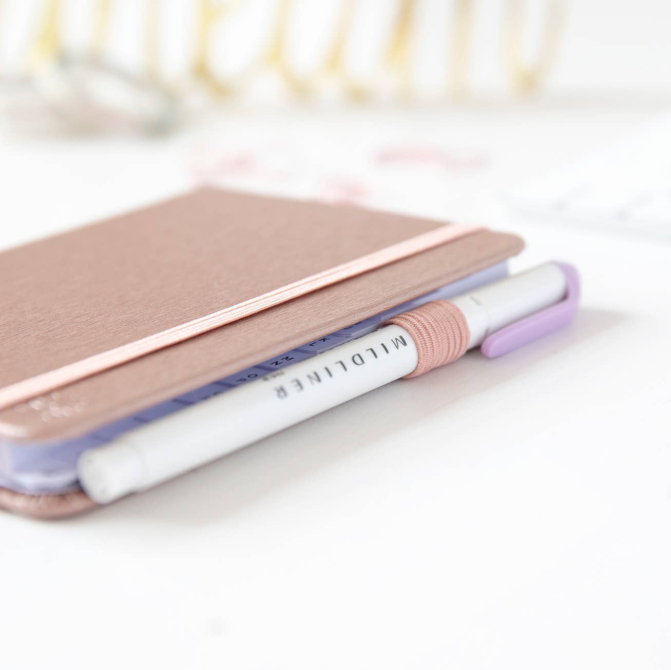Rose Gold Password Logbook Core bloom daily planners