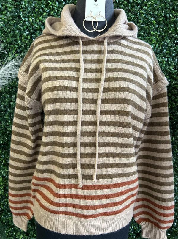 Choco Striped Colorblock Sweatshirt with Hood
