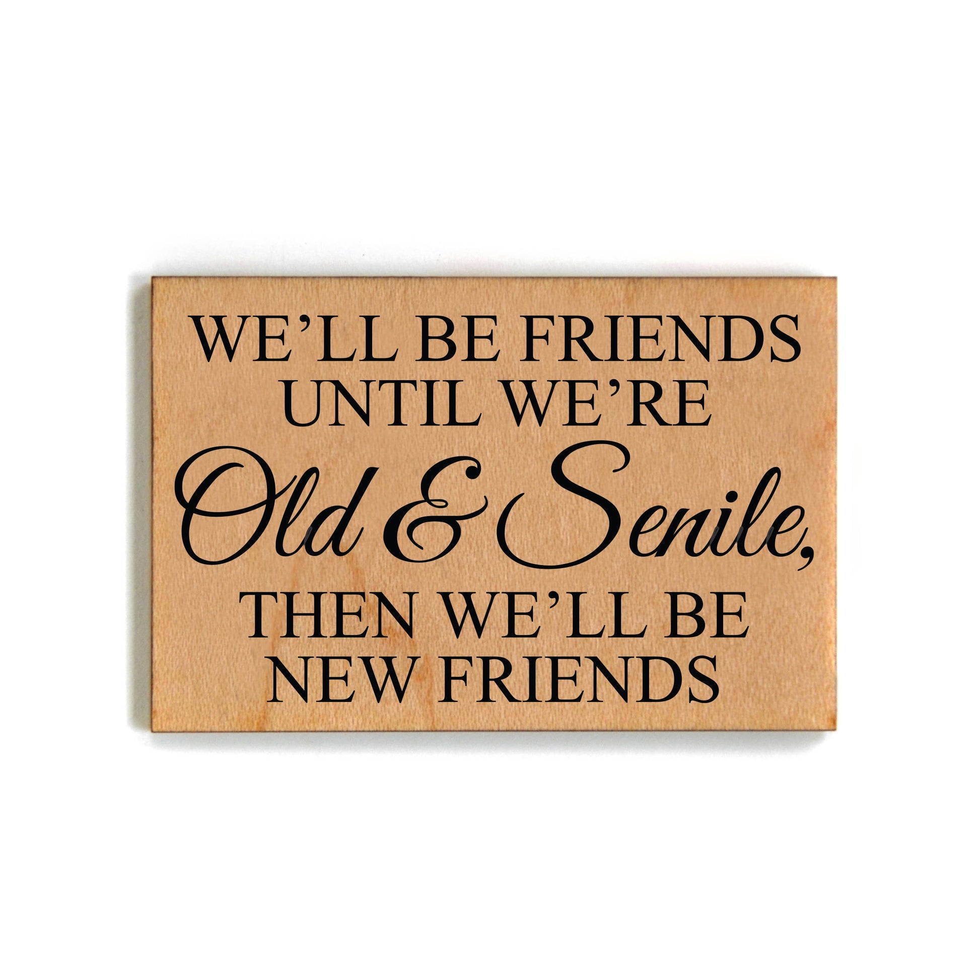 We'll Be Friends Until We Are Old & Senile Magnet Core Driftless Studios